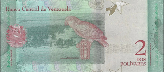 Venezuela - 2 Bolívares (2018) - Josefa Camejo e Papagaio - Pick #101 - UNC