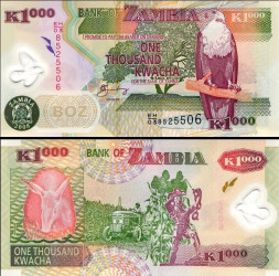 Zâmbia - 1000 Kwacha (2008) - Águia Pesqueira e Aardvark - Pick #44f - UNC (Polímero)